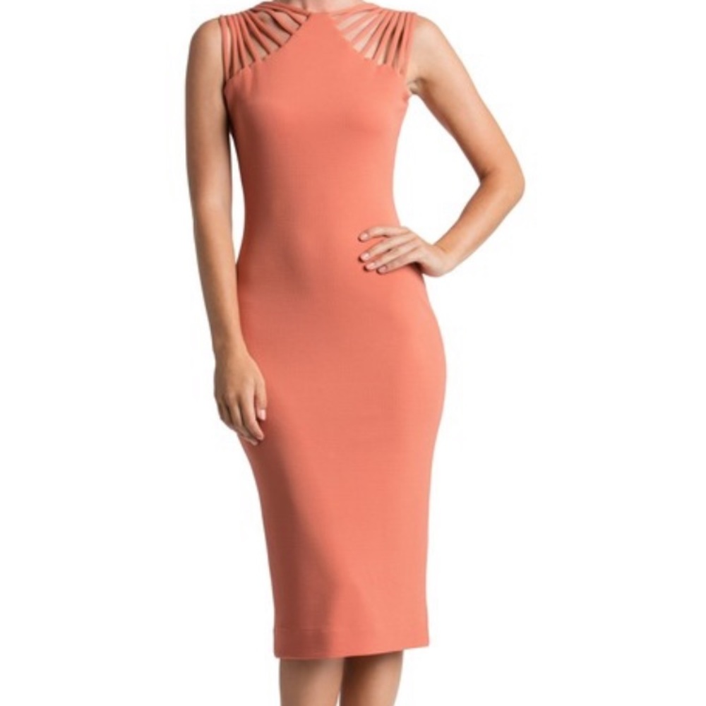 NWOT Dress the Population textured jersey dress